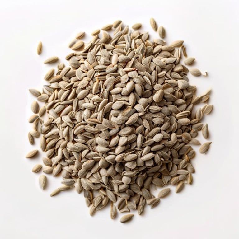 Sunflower Seeds (Shelled)