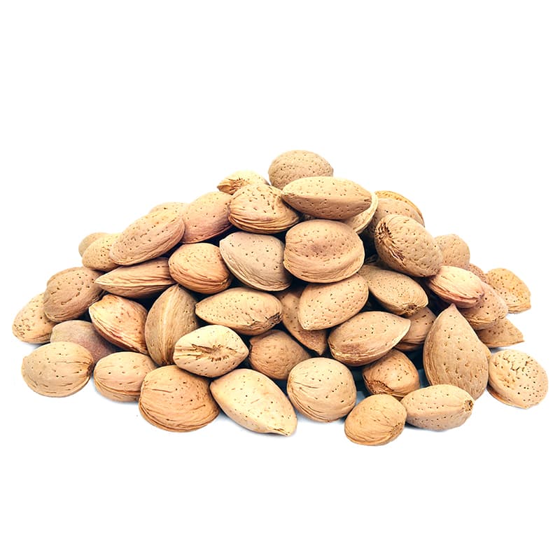 Badam Mota (Big Whole Almonds, In Shell)