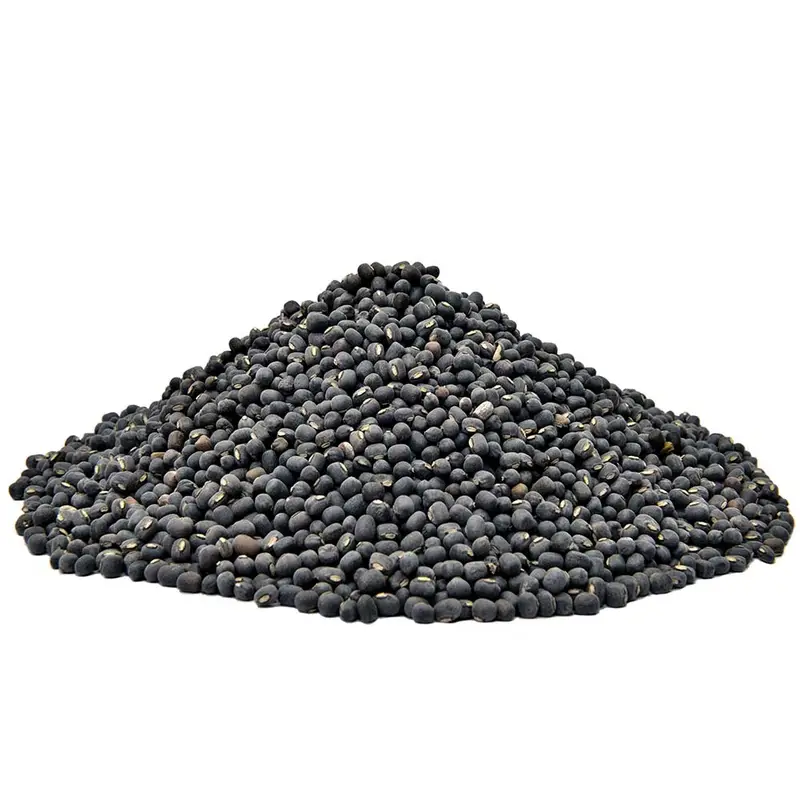 دال ماش ثابت