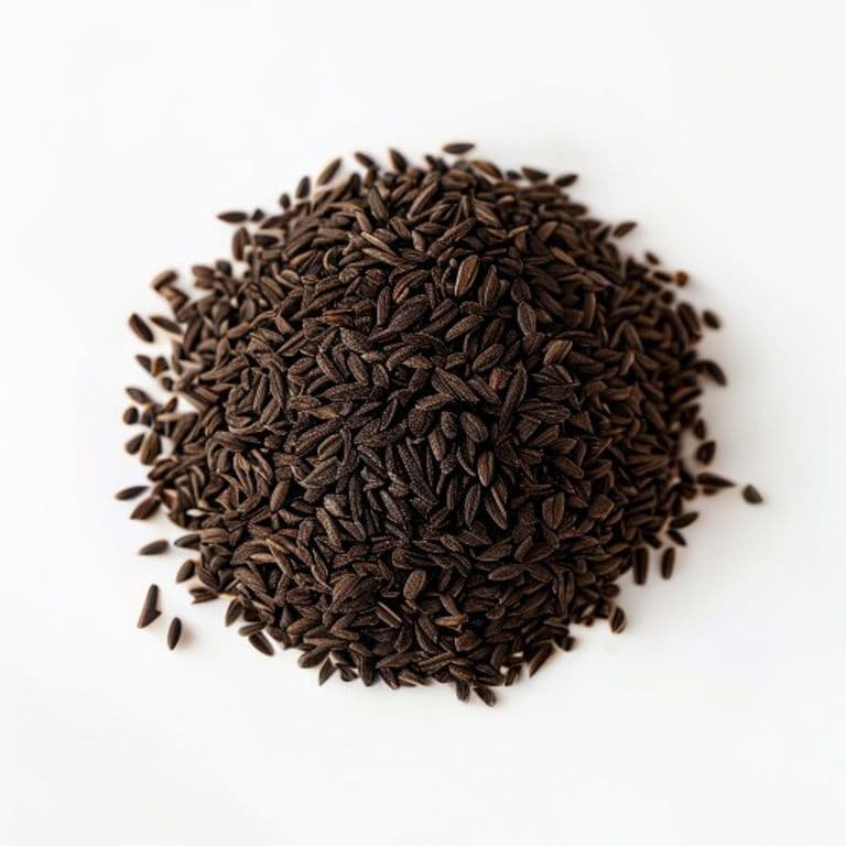 Zeera Siah (Kala Zeera / Black Cumin)