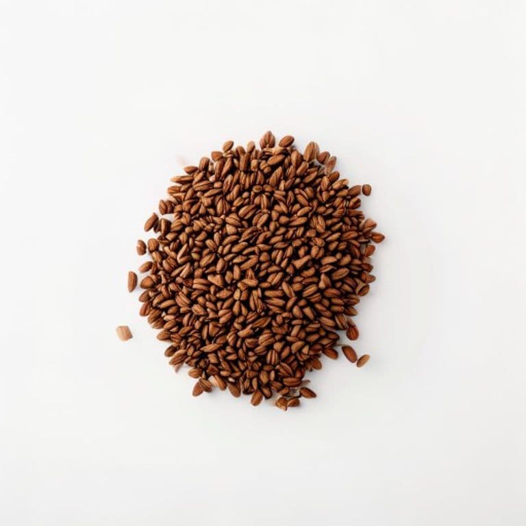 لونگ (ثابت)