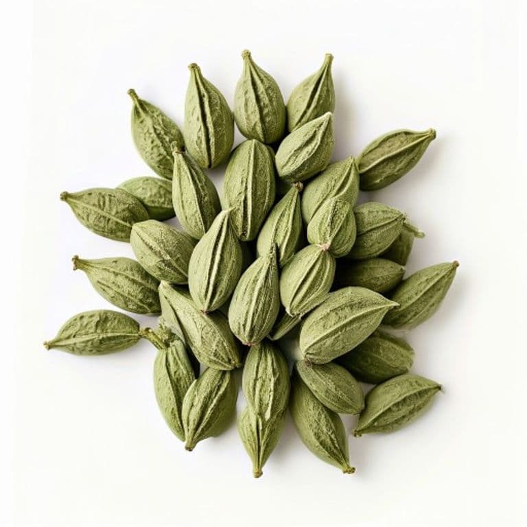 سبز الائچی بڑی